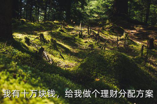 我有十萬塊錢，給我做個(gè)理財(cái)分配方案