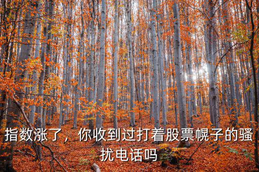 指數(shù)漲了，你收到過打著股票幌子的騷擾電話嗎