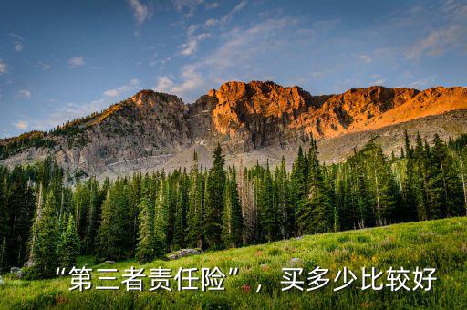 “第三者責(zé)任險”，買多少比較好