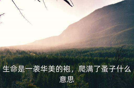 生命是一襲華美的袍，爬滿了蚤子什么意思