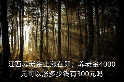 江西養(yǎng)老金上漲在即，養(yǎng)老金4000元可以漲多少錢有300元嗎