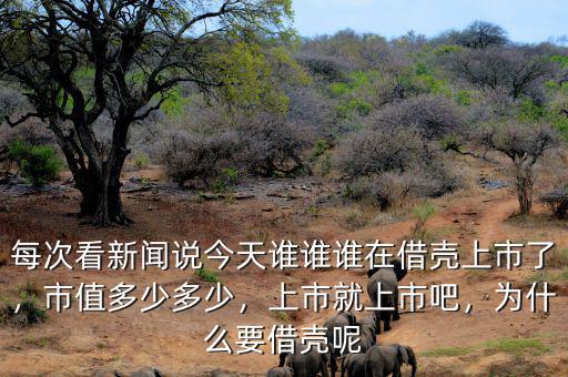 每次看新聞?wù)f今天誰(shuí)誰(shuí)誰(shuí)在借殼上市了，市值多少多少，上市就上市吧，為什么要借殼呢