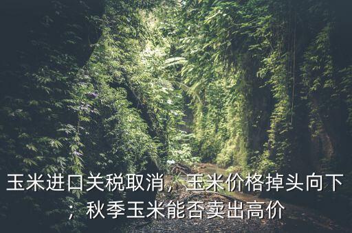 玉米進(jìn)口關(guān)稅取消，玉米價格掉頭向下；秋季玉米能否賣出高價