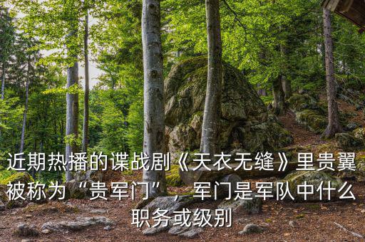 近期熱播的諜戰(zhàn)劇《天衣無(wú)縫》里貴翼被稱為“貴軍門”，軍門是軍隊(duì)中什么職務(wù)或級(jí)別