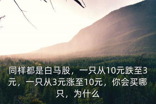 同樣都是白馬股，一只從10元跌至3元，一只從3元漲至10元，你會(huì)買哪只，為什么