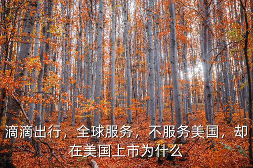 滴滴出行，全球服務(wù)，不服務(wù)美國，卻在美國上市為什么