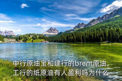 中行原油寶和建行的brent原油，工行的紙?jiān)陀腥擞麊釣槭裁? class=