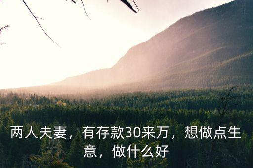 兩人夫妻，有存款30來萬，想做點(diǎn)生意，做什么好
