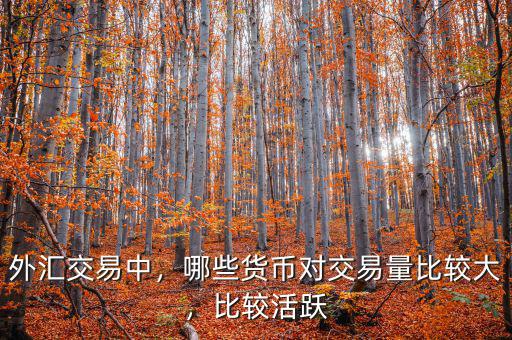 外匯交易中，哪些貨幣對交易量比較大，比較活躍