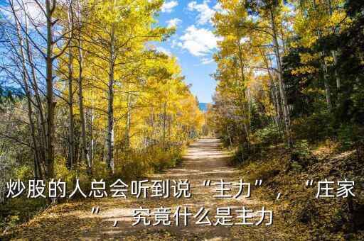炒股的人總會(huì)聽(tīng)到說(shuō)“主力”，“莊家”，究竟什么是主力
