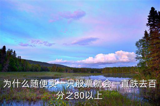 為什么隨便買(mǎi)一只股票就會(huì)一直跌去百分之80以上