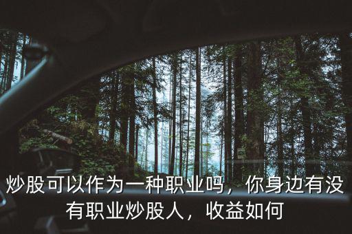 炒股可以作為一種職業(yè)嗎，你身邊有沒有職業(yè)炒股人，收益如何