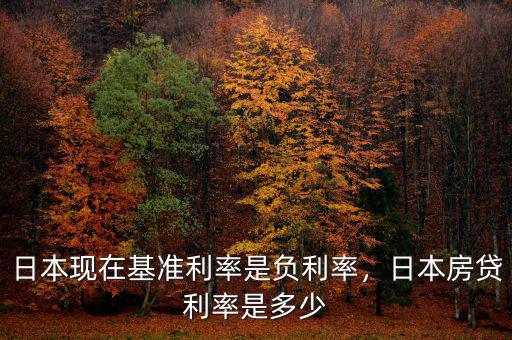 日本現(xiàn)在基準(zhǔn)利率是負(fù)利率，日本房貸利率是多少