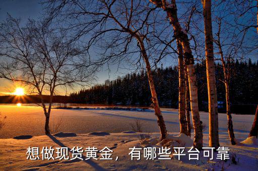 想做現(xiàn)貨黃金，有哪些平臺(tái)可靠