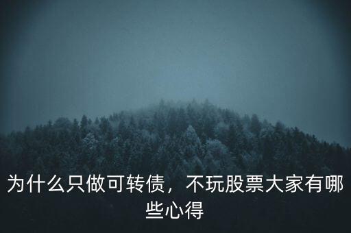 為什么只做可轉(zhuǎn)債，不玩股票大家有哪些心得