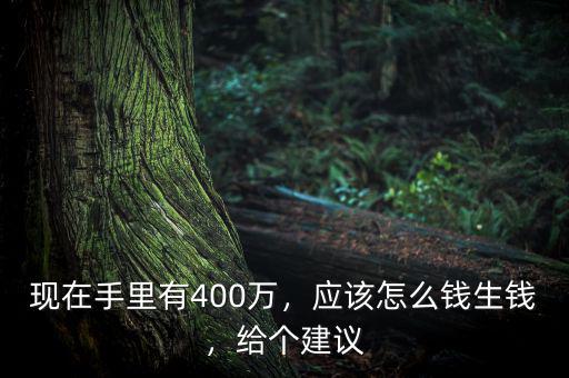現(xiàn)在手里有400萬，應(yīng)該怎么錢生錢，給個建議