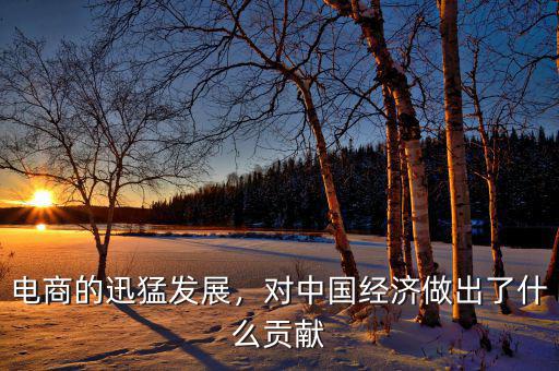 電商的迅猛發(fā)展，對(duì)中國(guó)經(jīng)濟(jì)做出了什么貢獻(xiàn)
