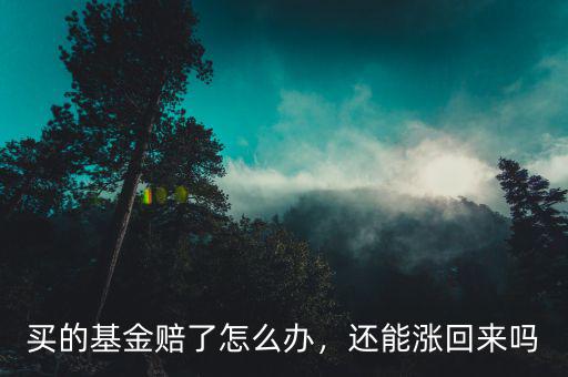 買的基金賠了怎么辦，還能漲回來嗎