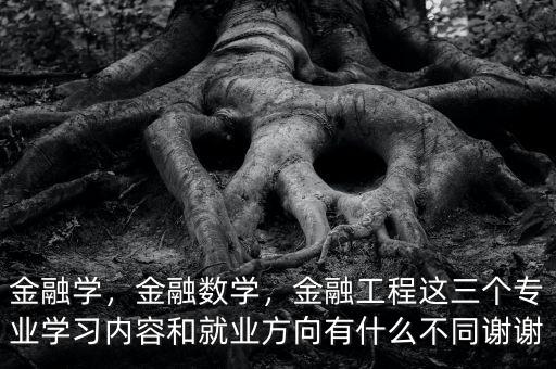 金融學，金融數(shù)學，金融工程這三個專業(yè)學習內(nèi)容和就業(yè)方向有什么不同謝謝