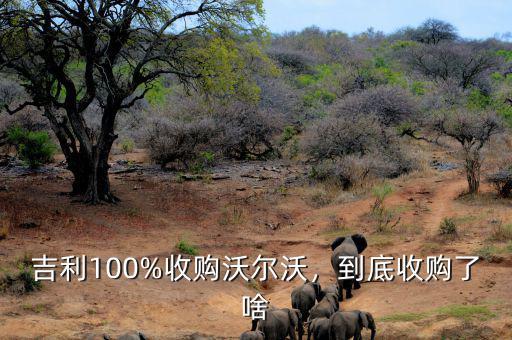 吉利什么時(shí)候收購的沃爾沃,到底收購了啥