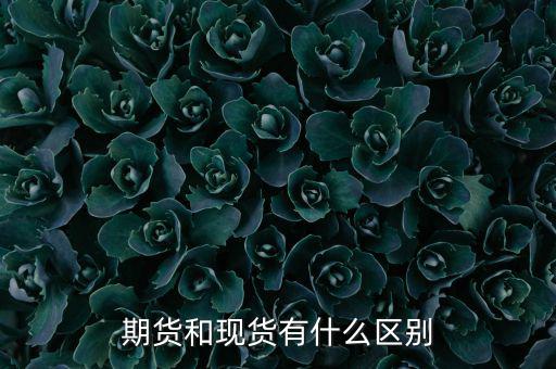 期貨和現貨有什么區(qū)別