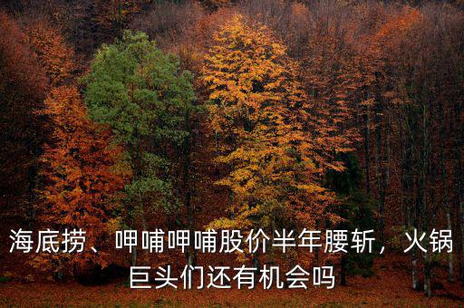 海底撈、呷哺呷哺股價半年腰斬，火鍋巨頭們還有機會嗎
