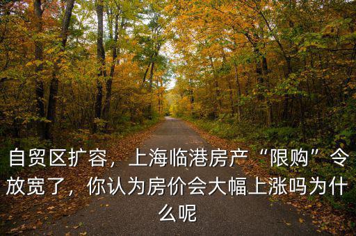 自貿(mào)區(qū)擴(kuò)容，上海臨港房產(chǎn)“限購”令放寬了，你認(rèn)為房價會大幅上漲嗎為什么呢
