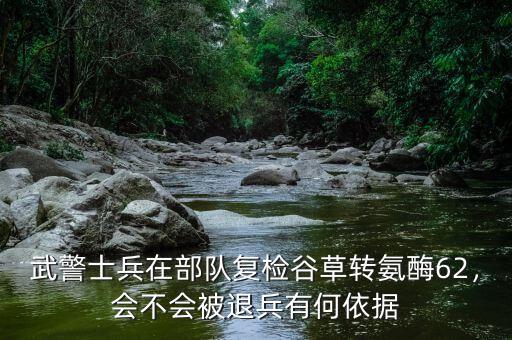 武警士兵在部隊復(fù)檢谷草轉(zhuǎn)氨酶62，會不會被退兵有何依據(jù)