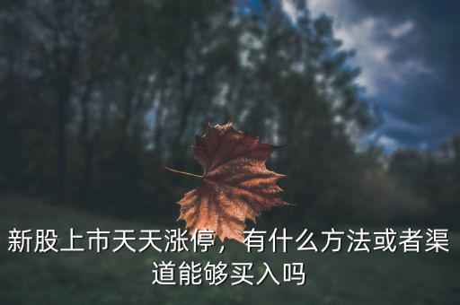 新股上市天天漲停，有什么方法或者渠道能夠買(mǎi)入嗎