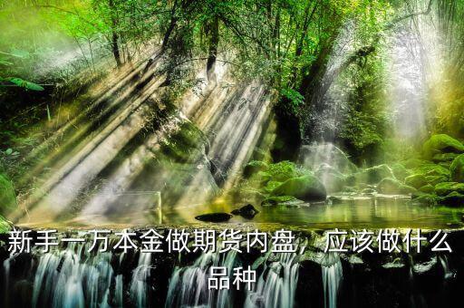 新手一萬本金做期貨內(nèi)盤，應該做什么品種