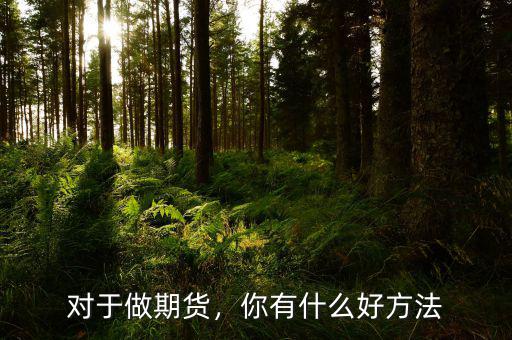 對(duì)于做期貨，你有什么好方法