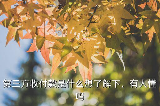 第三方收付款是什么想了解下，有人懂嗎