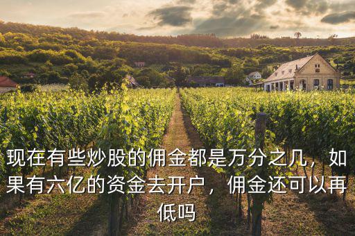 現(xiàn)在有些炒股的傭金都是萬分之幾，如果有六億的資金去開戶，傭金還可以再低嗎