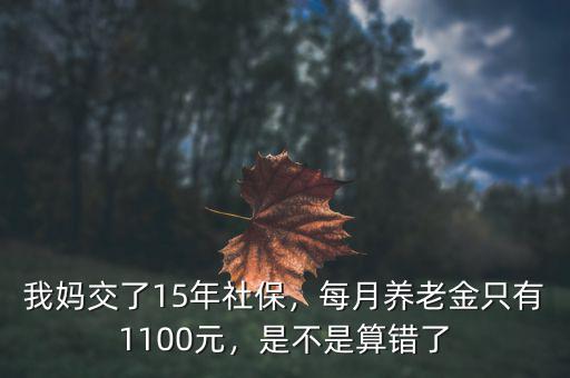 我媽交了15年社保，每月養(yǎng)老金只有1100元，是不是算錯(cuò)了