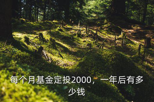 每個(gè)月基金定投2000，一年后有多少錢(qián)