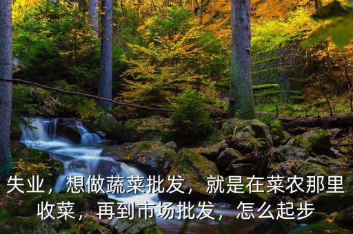 失業(yè)，想做蔬菜批發(fā)，就是在菜農(nóng)那里收菜，再到市場批發(fā)，怎么起步