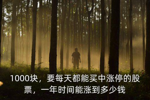 1000塊，要每天都能買中漲停的股票，一年時(shí)間能漲到多少錢