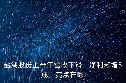 鹽湖股份上半年?duì)I收下滑，凈利卻增5成，亮點(diǎn)在哪