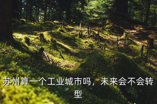 蘇州算一個(gè)工業(yè)城市嗎，未來(lái)會(huì)不會(huì)轉(zhuǎn)型