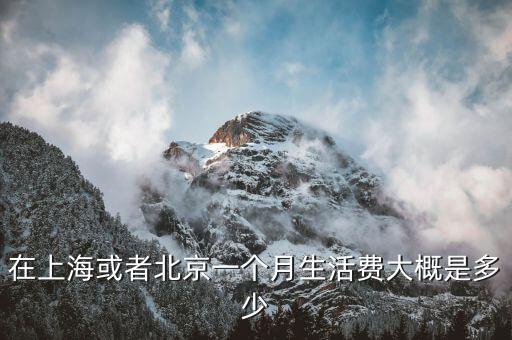 在上?；蛘弑本┮粋€月生活費大概是多少