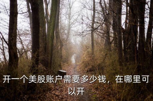 開一個美股賬戶需要多少錢，在哪里可以開