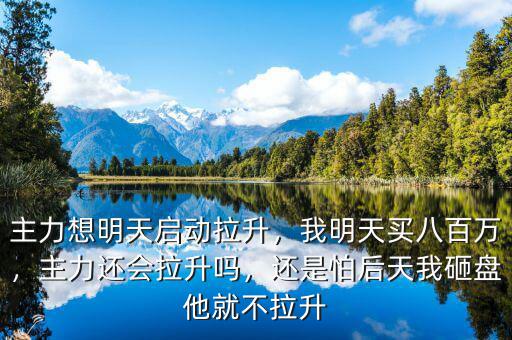主力想明天啟動拉升，我明天買八百萬，主力還會拉升嗎，還是怕后天我砸盤他就不拉升