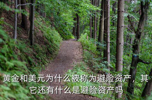 黃金和美元為什么被稱為避險(xiǎn)資產(chǎn)，其它還有什么是避險(xiǎn)資產(chǎn)嗎