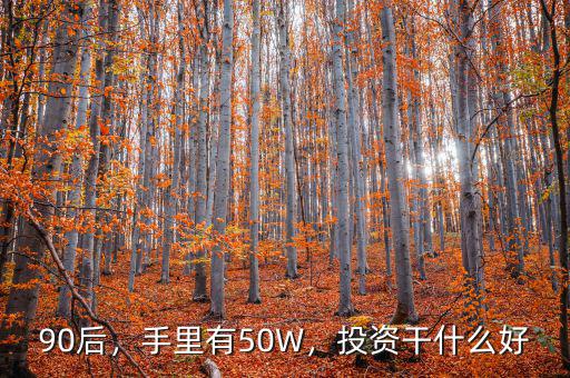 90后，手里有50W，投資干什么好
