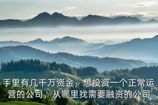 手里有幾千萬資金，想投資一個(gè)正常運(yùn)營的公司，從哪里找需要融資的公司