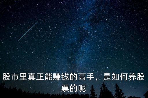 股市里真正能賺錢的高手，是如何養(yǎng)股票的呢