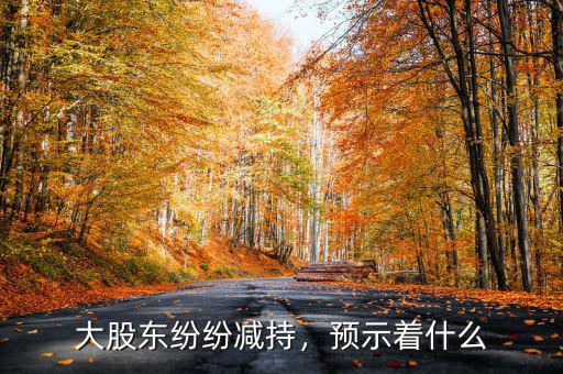 大股東紛紛減持，預(yù)示著什么