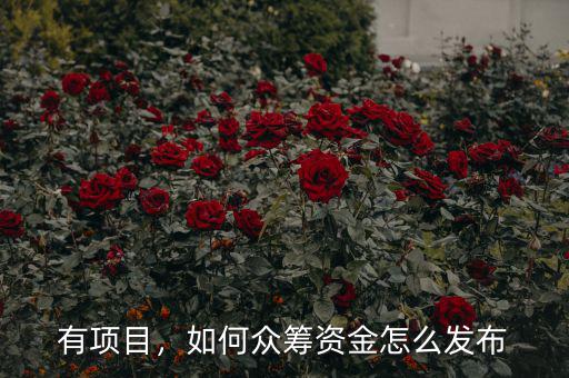 有項目，如何眾籌資金怎么發(fā)布
