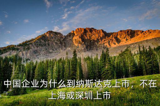 中國企業(yè)為什么到納斯達(dá)克上市，不在上?；蛏钲谏鲜? class=
