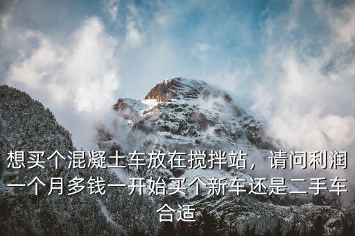 想買個(gè)混凝土車放在攪拌站，請(qǐng)問利潤(rùn)一個(gè)月多錢一開始買個(gè)新車還是二手車合適